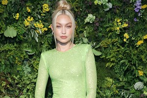 H κυβέρνηση του Ισραήλ τα έβαλε με τη Gigi Hadid - εικόνα 1