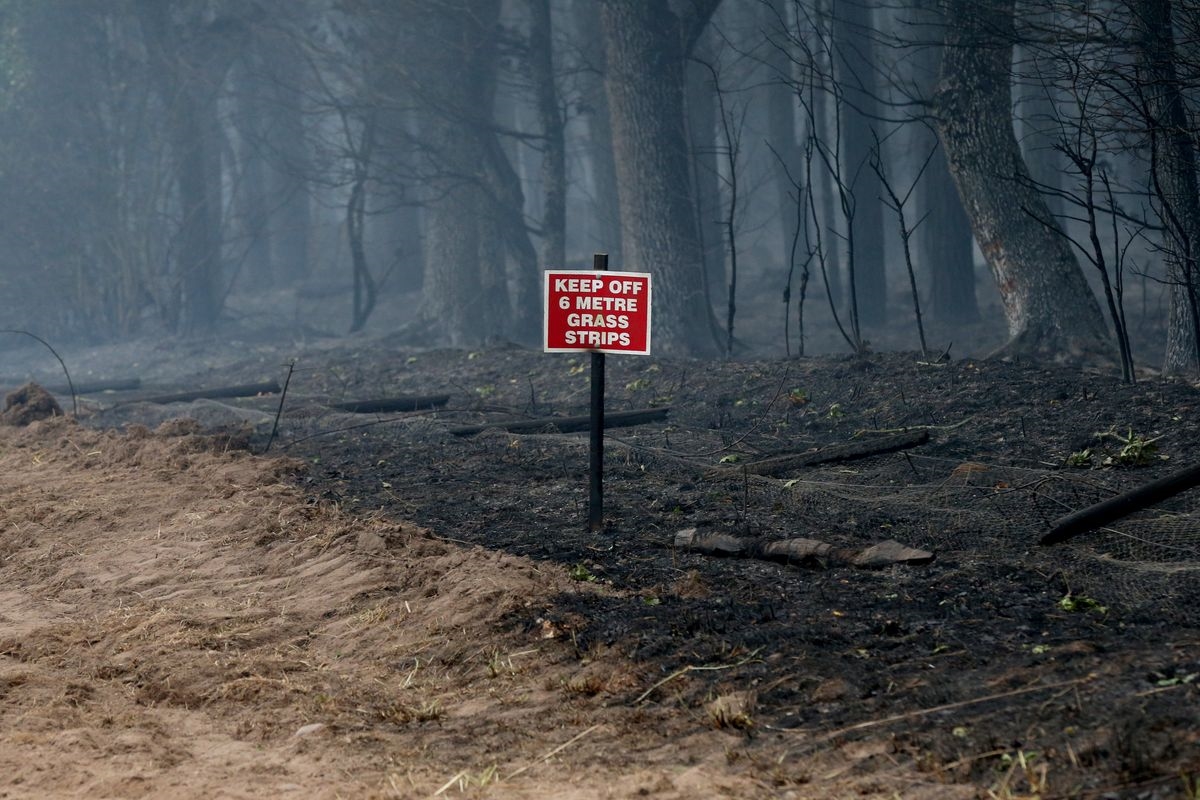 Έως 30.000 ευρώ πρόστιμο στους επίδοξους εμπρηστές φέρνει ο νέος νόμος - εικόνα 2