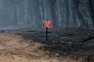 Έως 30.000 ευρώ πρόστιμο στους επίδοξους εμπρηστές φέρνει ο νέος νόμος - εικόνα 2