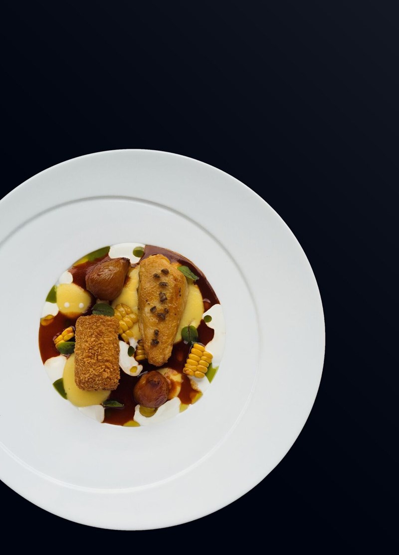 SENSE ΚΟΚΟΡΑΚΙ ΜΠΑΡΔΟΥΝΙΩΤΙΚΟ