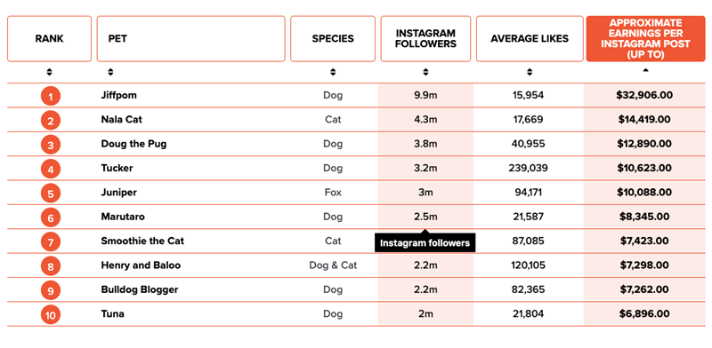 πλουσιότερα κατοικίδια