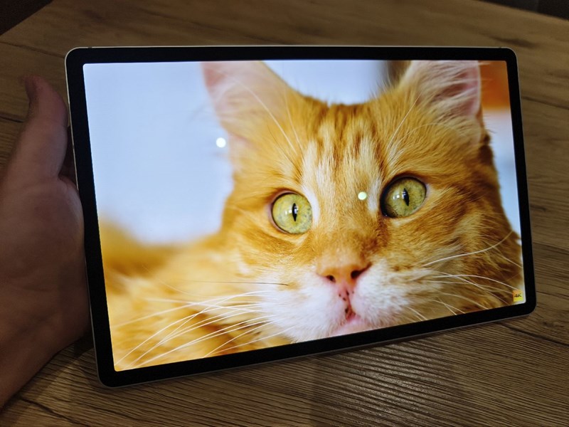 Samsung Galaxy Tab S10 Plus