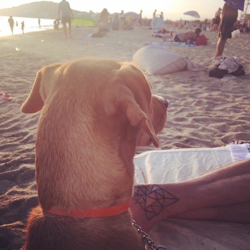 ΕΦΗ ΑΛΕΒΙΖΟΥ