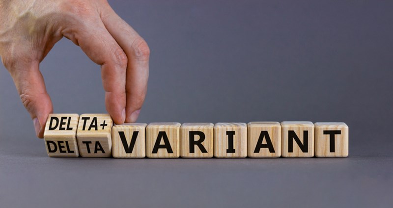 DELTA PLUS VARIANT ILLUSTRATION