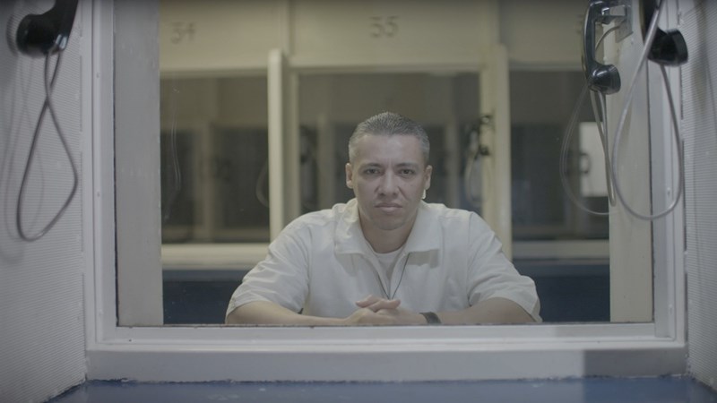 ΝΕΤΦΛΙΞ ΑΥΓΟΥΣΤΟΣ