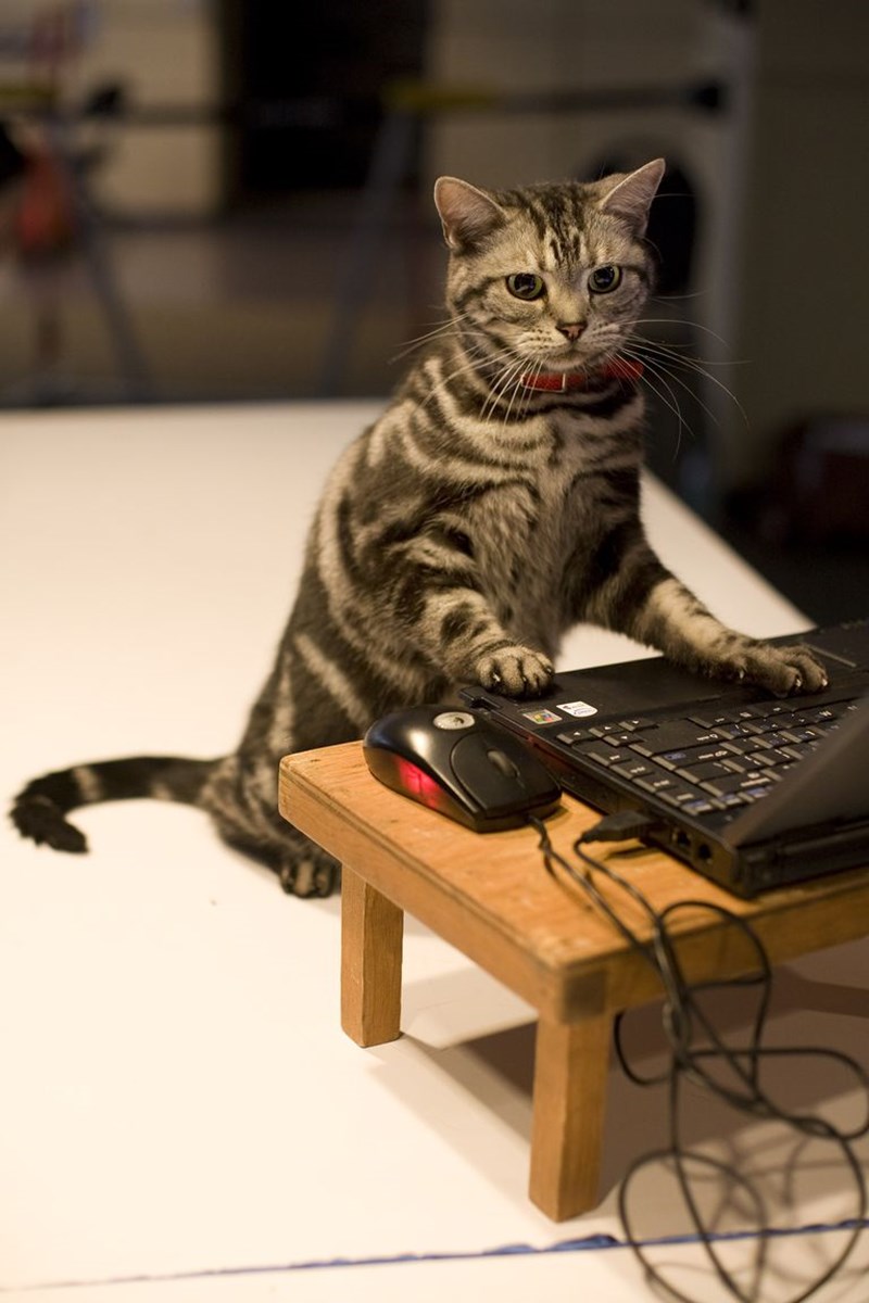 ΕΦΕΥΡΕΣΕΙΣ