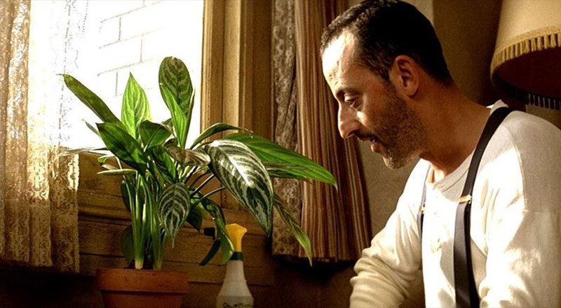 Ζαν Ρενό πράσινη ανάπτυξη