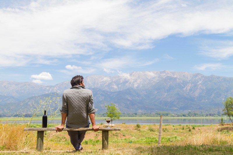 ΚΡΑΣΙ ΧΙΛΗ 6