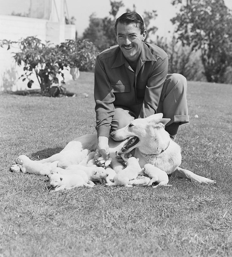 Gregory Peck