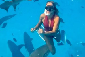 Διαγωνισμός στοματικού σεξ στη Ζάκυνθο - Σάλος με το βίντεο που διέρρευσε - εικόνα 1