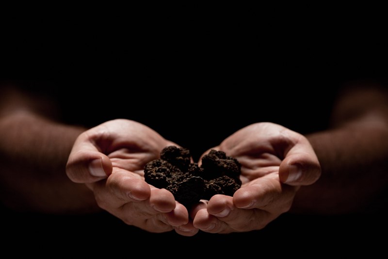 ΜΑΥΡΗ ΤΡΟΥΦΑ