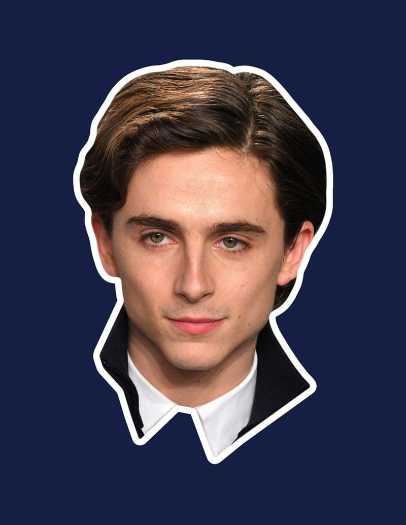 TIMOTHEE CHALAMET