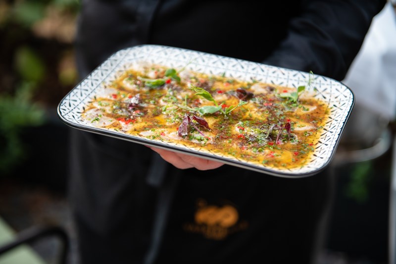 ΕΣΤΙΑΤΟΡΙΟ ΒΑΣΙΛΑΙΝΑΣ 2