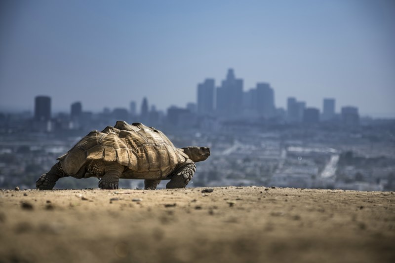 Έρημος κλιματική αλλαγή