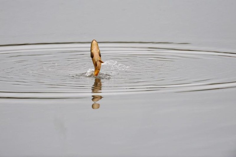 βαρύτητα νερό