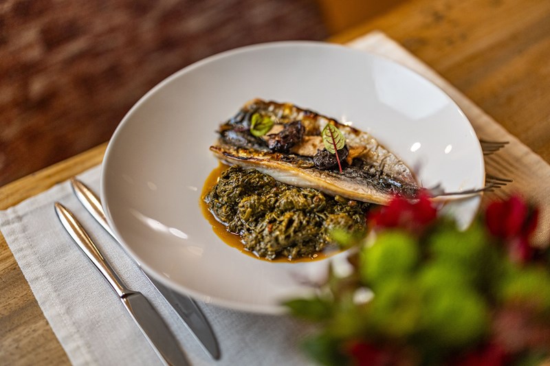 Cantina at Symposio at Ark 7