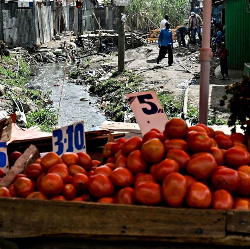 Πορτοκάλια Κλιματική Αλλαγή