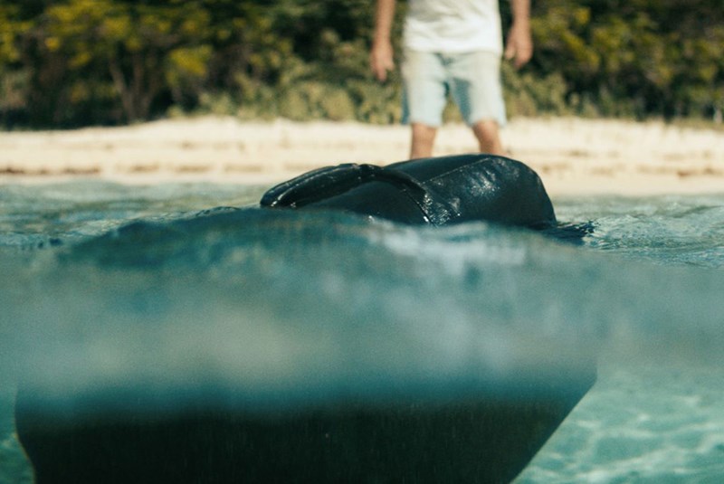 Ο ΘΡΥΛΟΣ ΤΟΥ ΝΗΣΙΟΥ ΤΗΣ ΚΟΚΑΪΝΗΣ NETFLIX 1