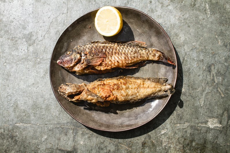 ΕΥΡΙΠΙΔΗΣ ΑΠΟΣΤΟΛΙΔΗΣ ΤΗΝΟΣ 2