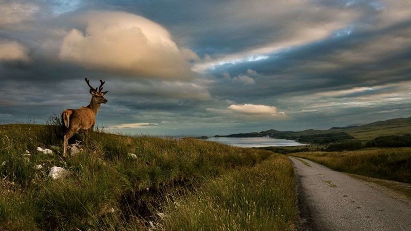ΠΕΡΙΟΧΕΣ ΟΥΙΣΚΙ ΣΚΩΤΙΑ