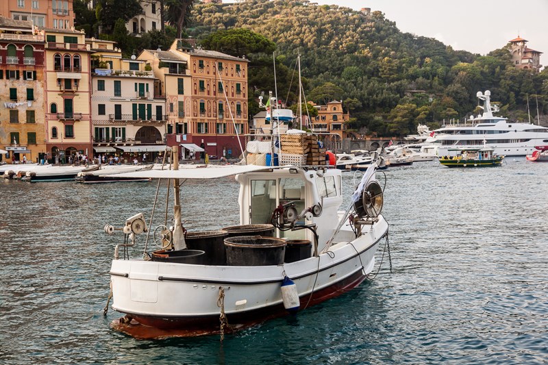 ΨΑΡΑΔΕΣ ΠΟΡΤΟΦΙΝΟ