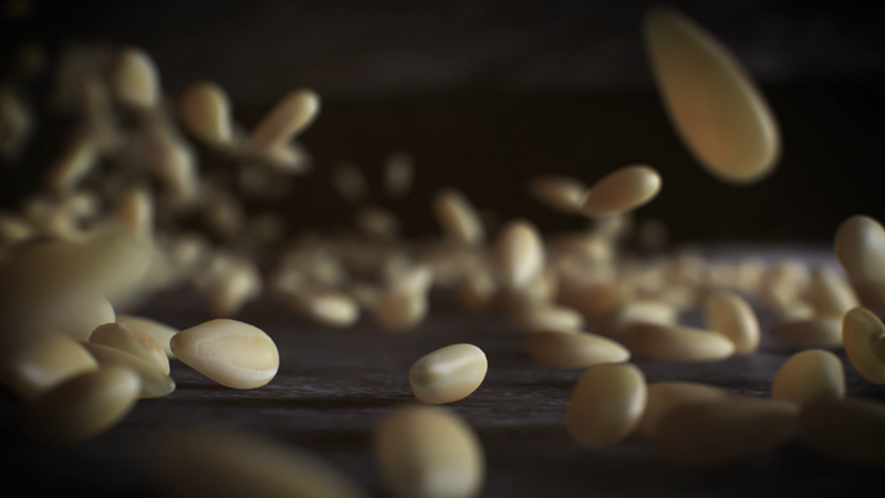 ΜΑΚΕΔΟΝΙΚΟ ΤΑΧΙΝΙ 3