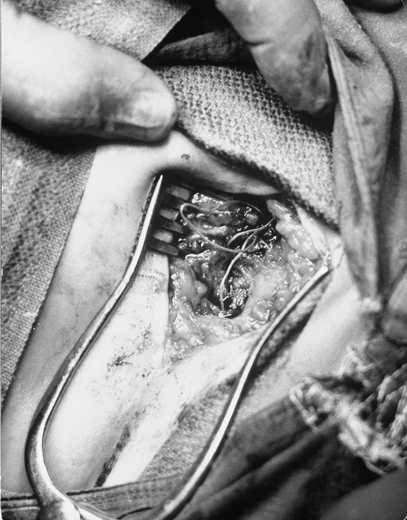 ΕΦΕΥΡΕΣΕΙΣ