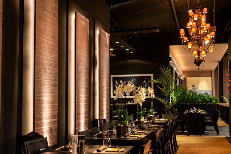 THE Y PROJECT ΕΣΤΙΑΤΟΡΙΟ ΥΤΟΝ 1