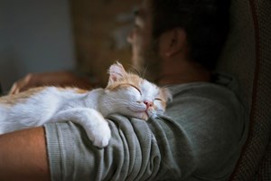 Bodybuilding για καλύτερο ύπνο - εικόνα 2