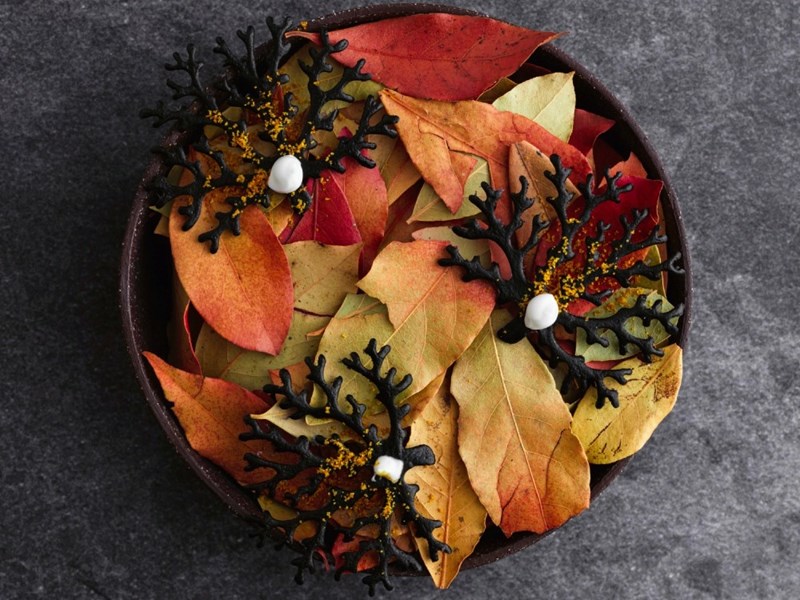 ΕΣΤΙΑΤΟΡΙΟ THAMA ΣΤΗΝ ΤΗΝΟ 2022 2