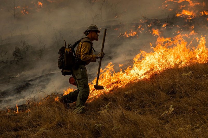 Καλιφόρνια 17