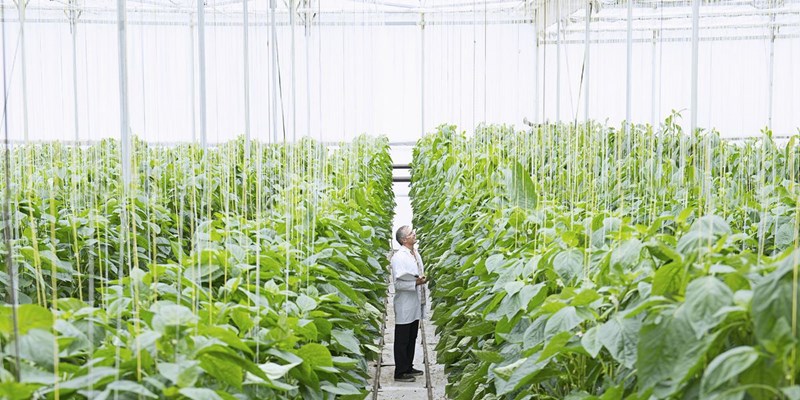 ΦΑΓΗΤΟ ΓΙΑ ΑΣΤΡΟΝΑΥΤΕΣ 2