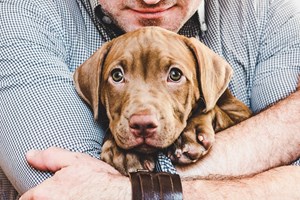 Πώς να καταλάβεις αν ο σκύλος σου είναι χαρούμενος - εικόνα 1