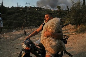 Θυμηθήκαμε τον σεισμό του 1999 της Πάρνηθας -6 Ρίχτερ και 143 νεκροί - εικόνα 2