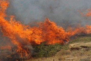 Βελτιωμένη η εικόνα των πυρκαγιών σε Μαγνησία, Λαμία, Ρόδο - εικόνα 1