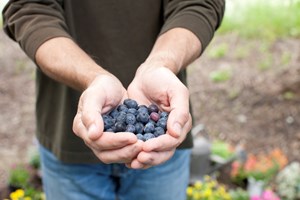 Πώς να ενεργοποιήσεις τον μεταβολισμό σου ώστε να χάσεις βάρος - εικόνα 2