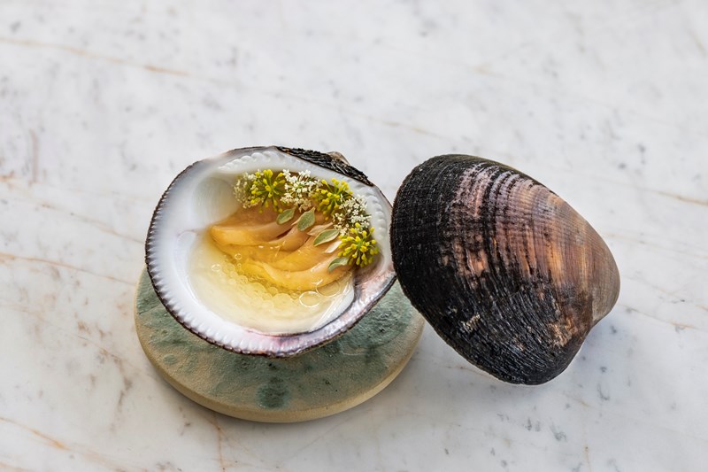 ΕΣΤΙΑΤΟΡΙΟ DELTA 1