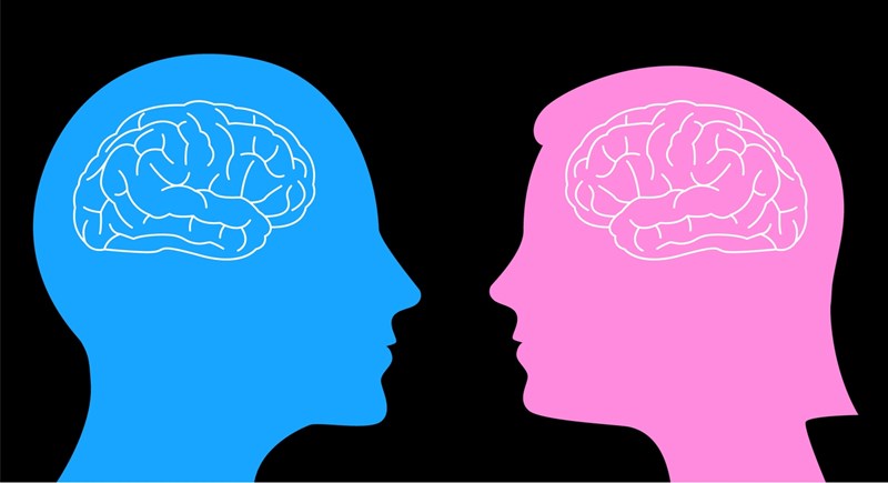 αντρικός και γυναικείος εγκέφαλος