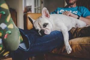 Οι κοινόχρηστοι λογαριασμοί στο Netflix είναι παρελθόν - ή και όχι - εικόνα 2