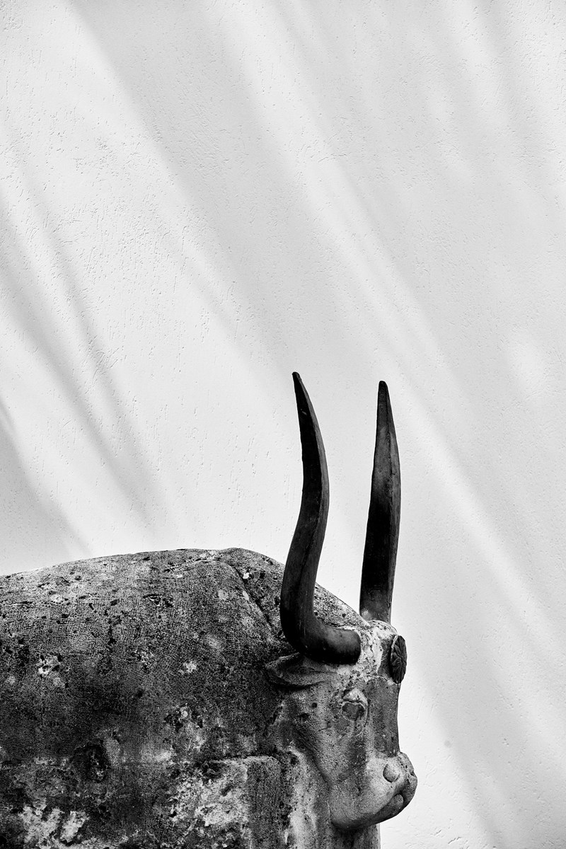 ΜΙΝΟΣ ΜΠΙΤΣ 2