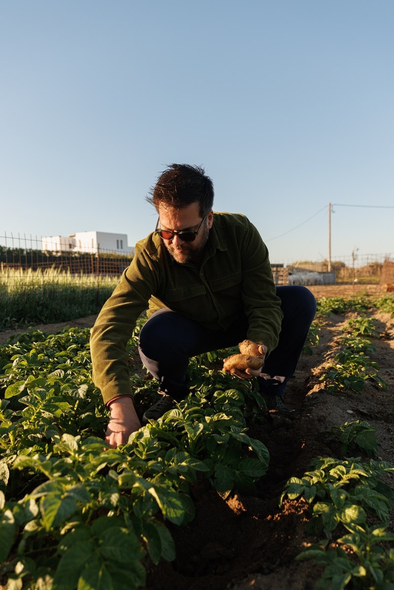 Στο Pelagos, το νέο μενού ταξιδεύει σε Σίφνο, Σαντορίνη και Νάξο 5