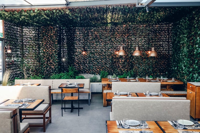 FRANKIE ΝΕΑ ΕΡΥΘΡΑΙΑ 1