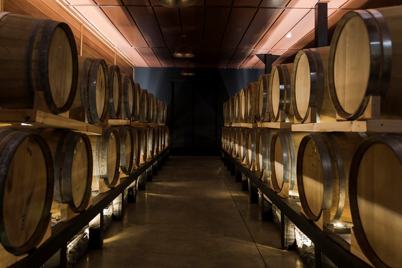 ΠΟΤΟΠΟΙΙΑ ΚΑΛΛΙΚΟΥΝΗΣ 8