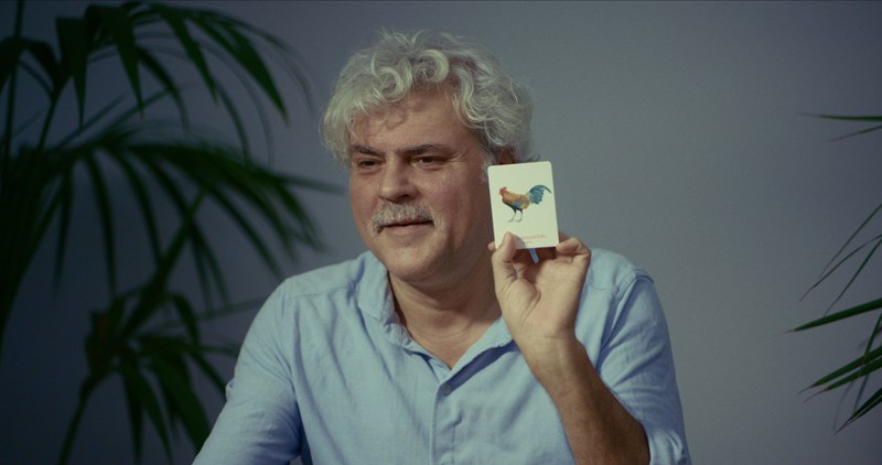 ΟΡΝΙΘΕΣ ΜΠΑΜΠΗΣ ΜΑΚΡΙΔΗΣ ΣΤΕΓΗ