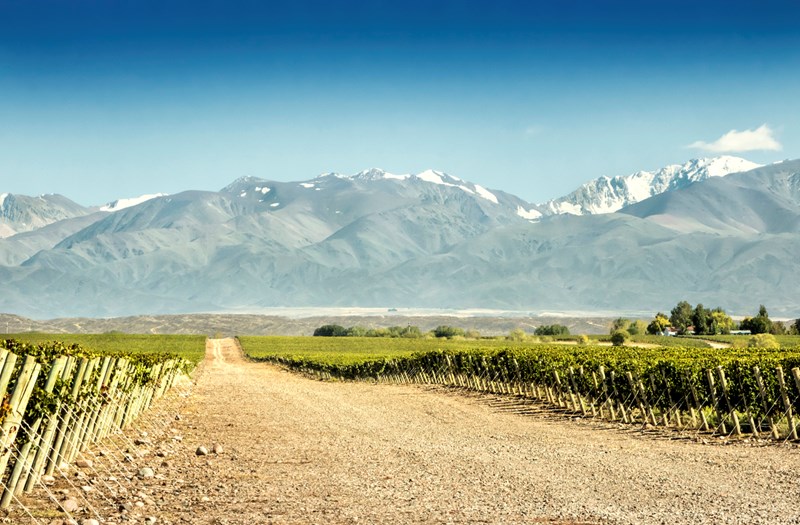 ΚΡΑΣΙ ΧΙΛΗ 1