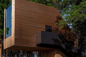 Δηλαδή αυτός ο φοίνικας μπορεί να περπατήσει; - εικόνα 1