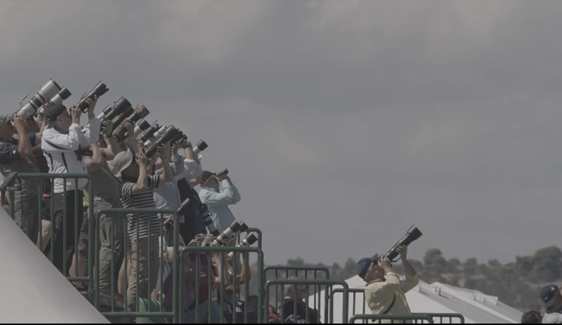 ΟΡΝΙΘΕΣ ΣΤΕΓΗ