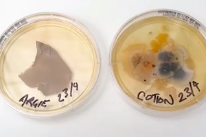 Δωμάτιο ξενοδοχείου vs κάθισμα τουαλέτας, μία πραγματικά βρώμικη σύγκριση - εικόνα 1