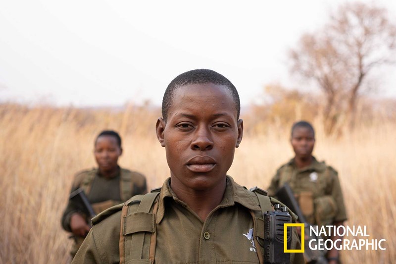 Akashinga: The Brave Ones