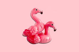 Ένας μύκητας 'σπέρνει' τον πανικό στα νοσοκομεία. Αλλά γιατί; - εικόνα 1